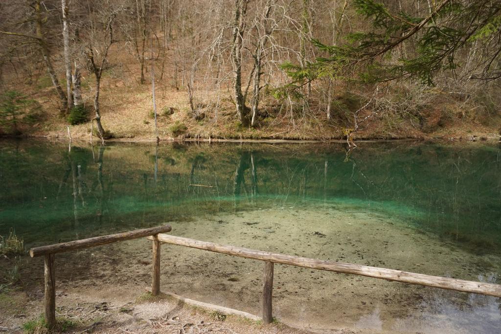 Pension Schwarzenbach Bad Reichenhall Εξωτερικό φωτογραφία